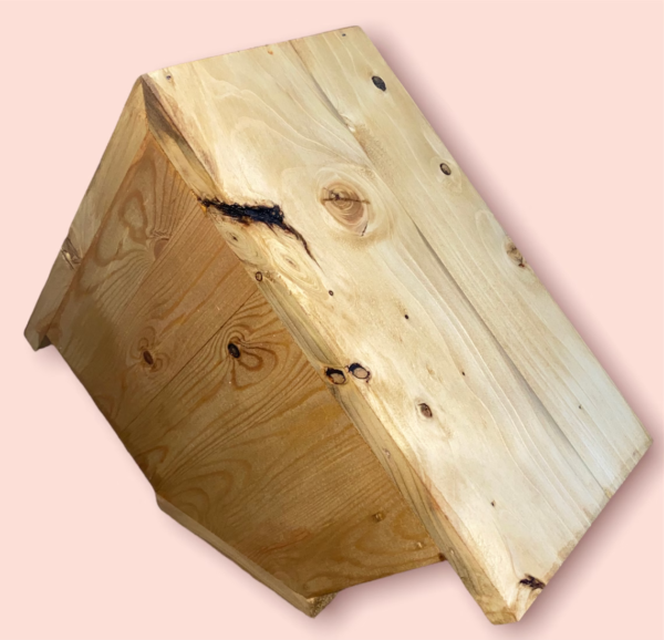 Dove Box / Dove Nest / Bird Box / Dove House / Dove nesting Box / Bird Nest / Bird House / Bird Nesting Box / Mourning Dove - Image 8