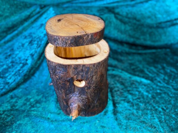 BirdBox / TreeTrunk Bird Box / Trunk Box / Birdhouse / Nesting Box / Tree house - Image 9