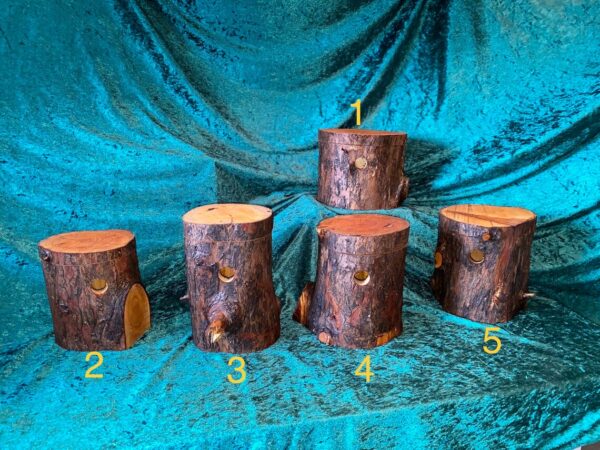 BirdBox / TreeTrunk Bird Box / Trunk Box / Birdhouse / Nesting Box / Tree house - Image 8