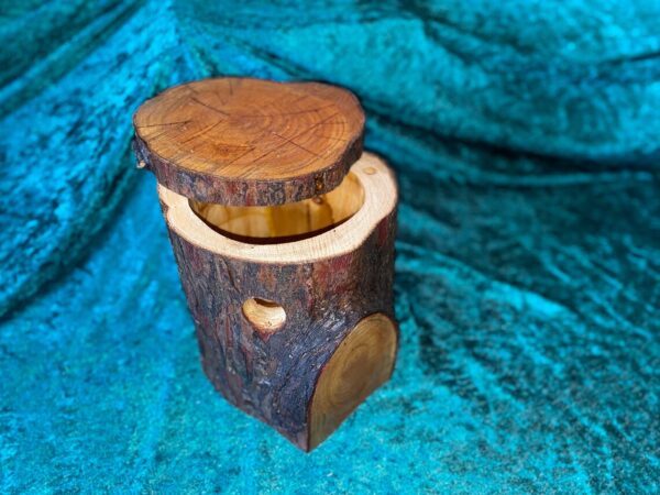 BirdBox / TreeTrunk Bird Box / Trunk Box / Birdhouse / Nesting Box / Tree house - Image 7