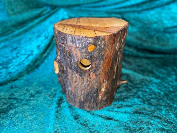 BirdBox / TreeTrunk Bird Box / Trunk Box / Birdhouse / Nesting Box / Tree house - Image 6