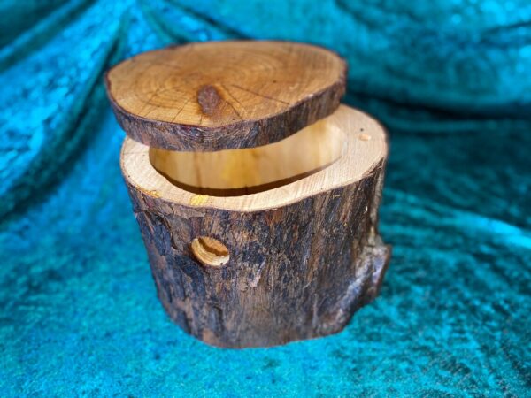 BirdBox / TreeTrunk Bird Box / Trunk Box / Birdhouse / Nesting Box / Tree house - Image 3
