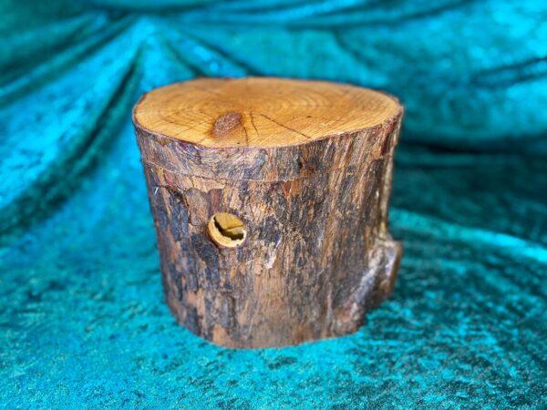 BirdBox / TreeTrunk Bird Box / Trunk Box / Birdhouse / Nesting Box / Tree house - Image 2